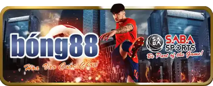 Ưu đãi đặc biệt cho các giải đấu lớn